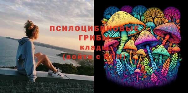 эйфоретик Беломорск