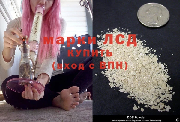 эйфоретик Богданович