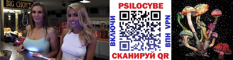 hydra рабочий сайт  Каргат  Псилоцибиновые грибы Psilocybine cubensis 